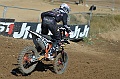 _ROB6943 (Copy)